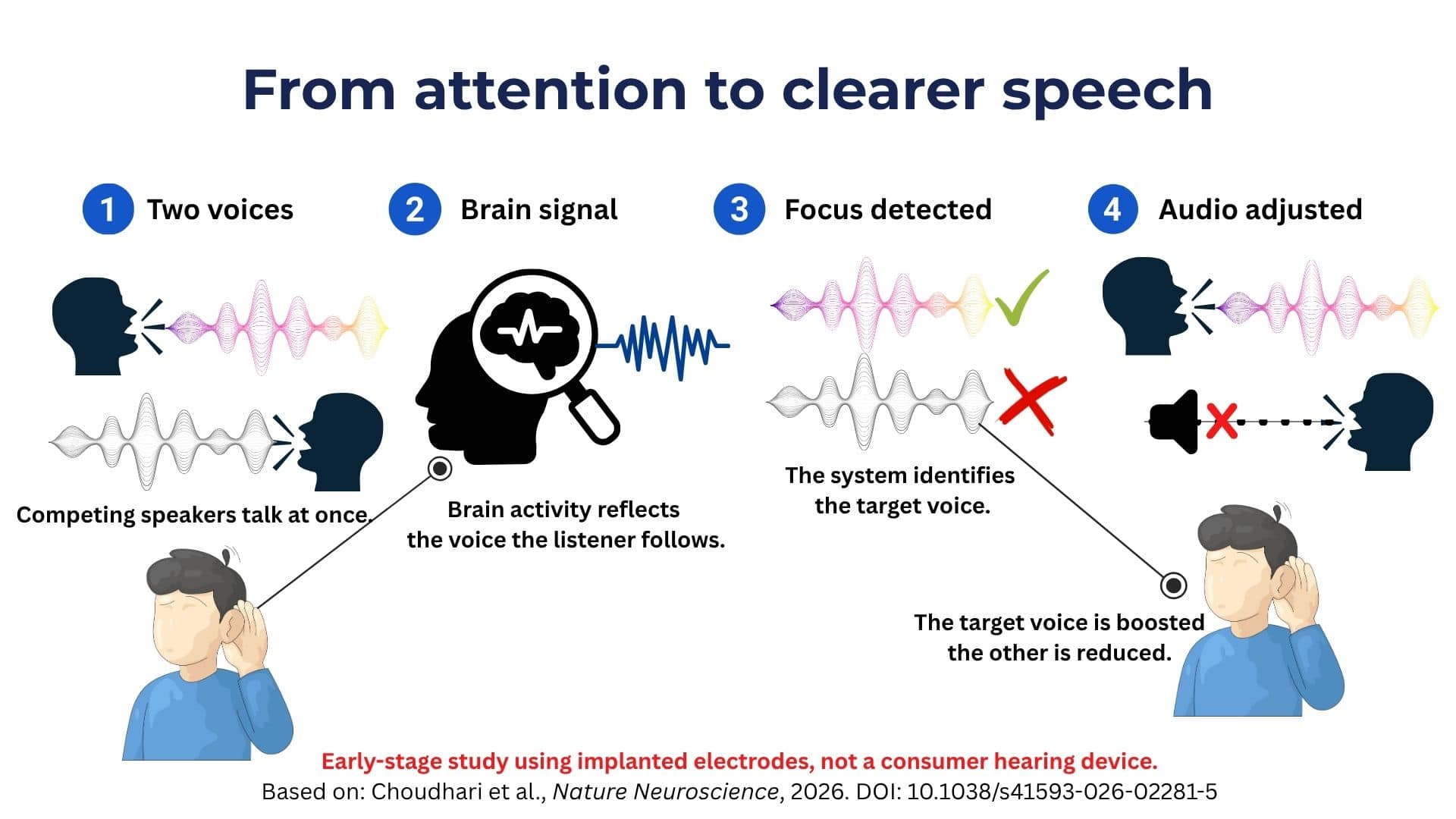 Infographic showing how a brain-controlled hearing system uses brain activity to identify the voice a listener is following and boost that voice while reducing competing speech.