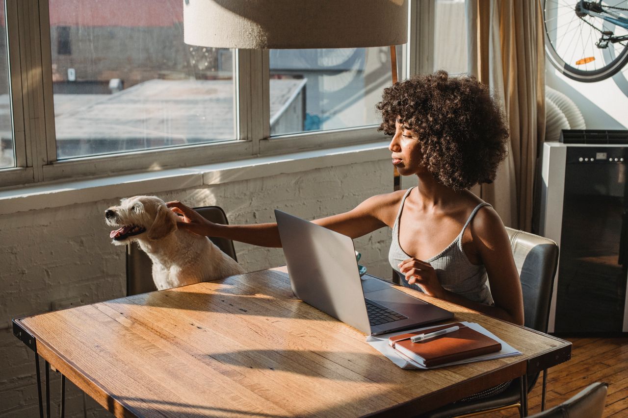Young woman working at home on laptop, petting her dog
