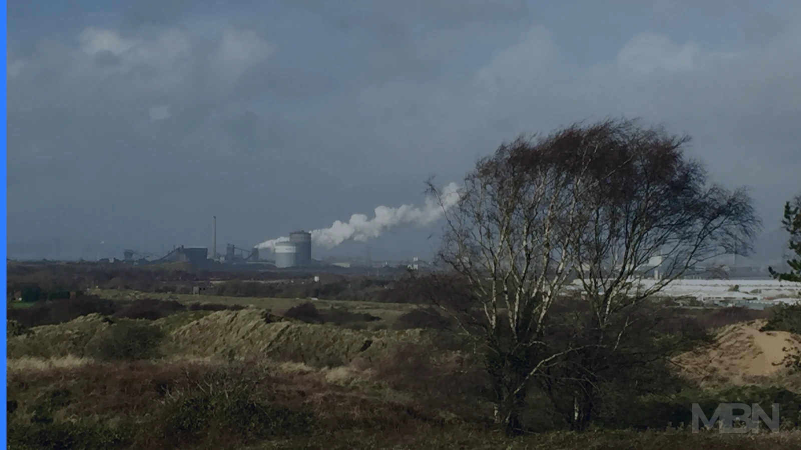 Editorial cover showing a coal-fired power plant beyond trees, representative of the global coal market. Image by Mussi Katz, CC0 via Wikimedia Commons.