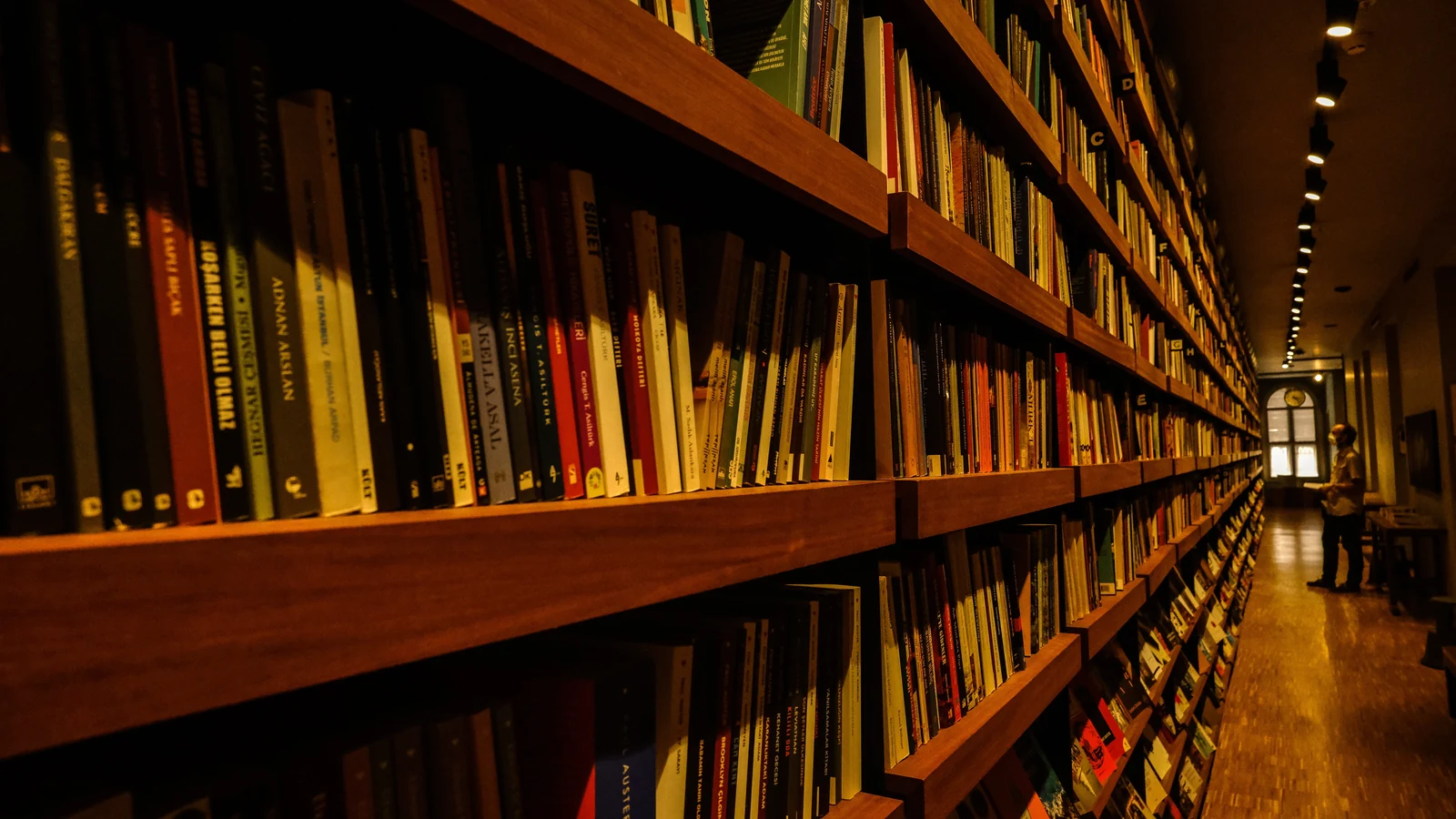 Rows of books on wooden library shelves in a representative photograph by Ayşe İpek, used under the Pexels License.