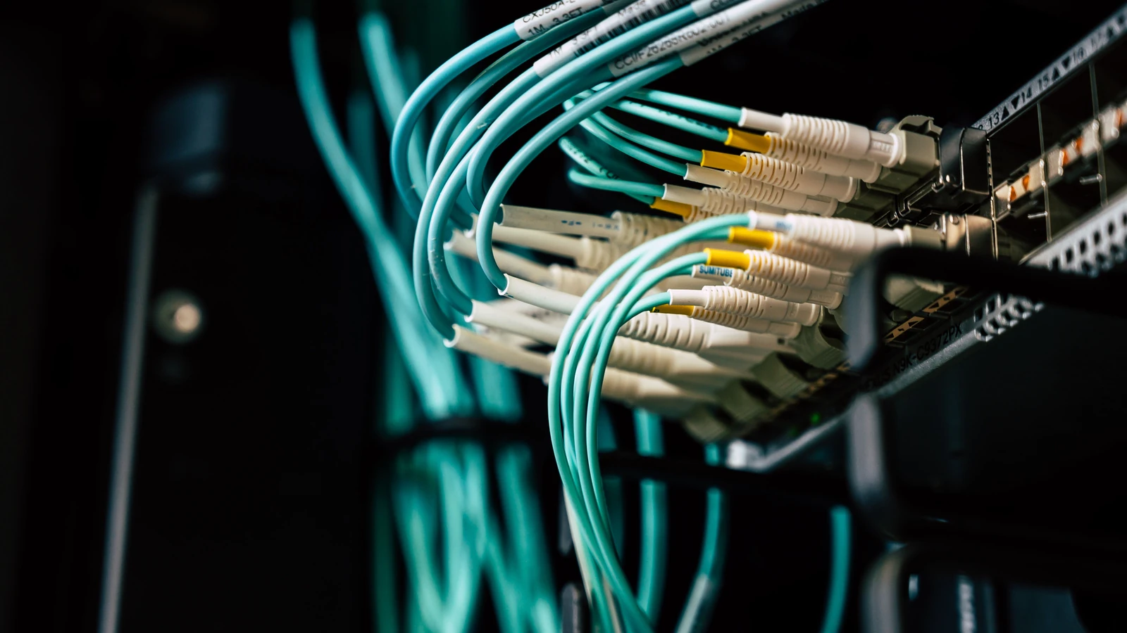 Network cables connected to rack-mounted equipment, a representative stock photograph by Brett Sayles from Pexels under the Pexels License.