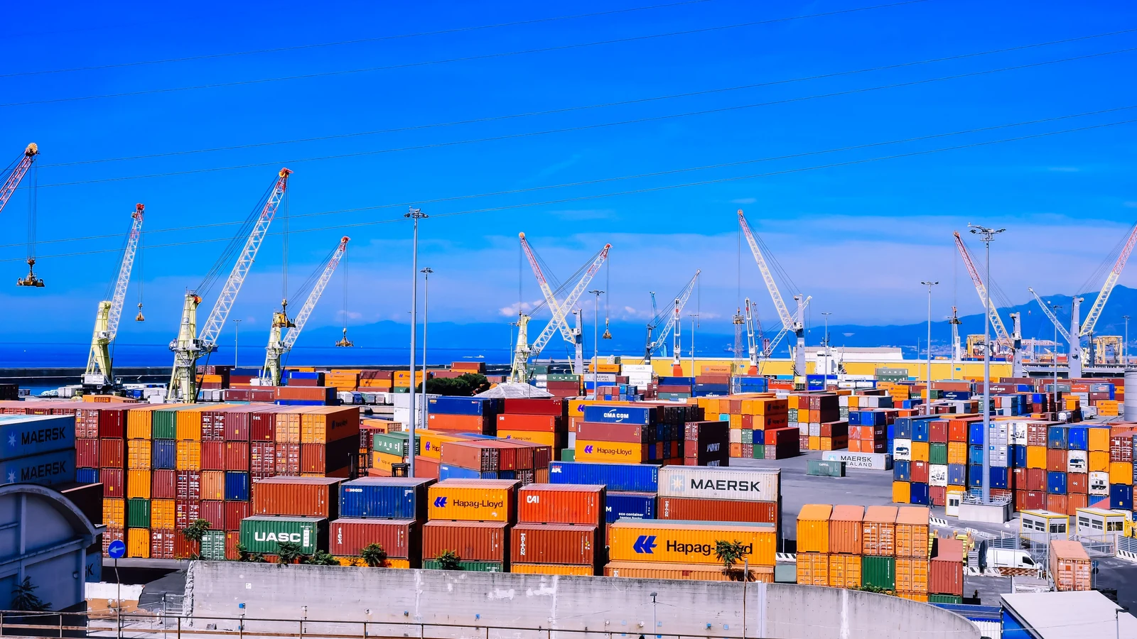 Shipping containers and cranes at a port. Representative stock photograph by Andrea Musto via Pexels.